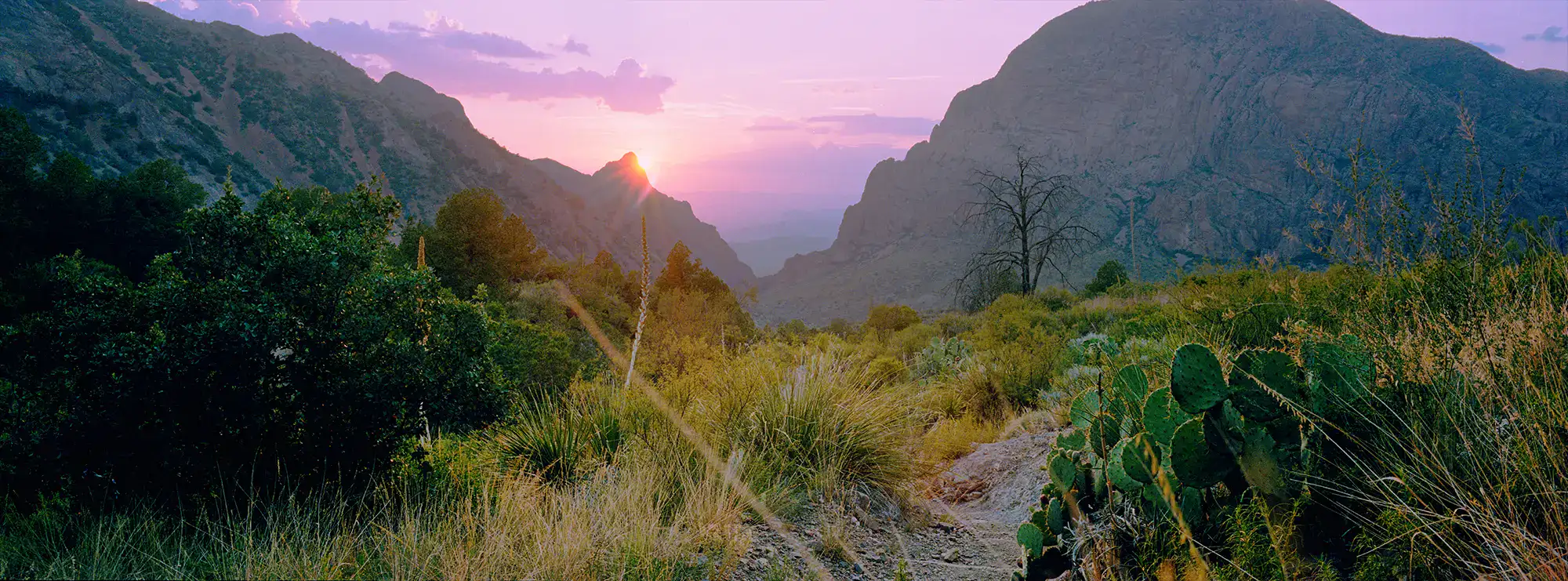 big-bend-sunset-01