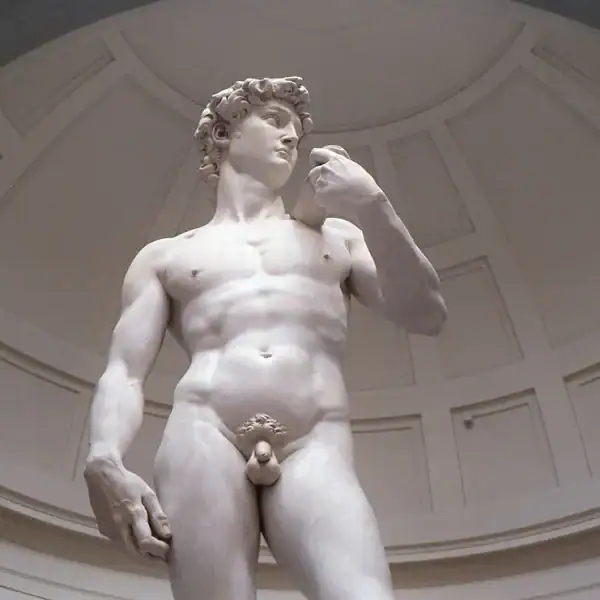 Michelangelo's David in Florence, Italy